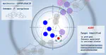 A fast and agnostic method for bacterial genome-wide association studies: Bridging the gap between k-mers and genetic events